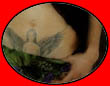Asia Argento