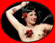 Velvet Hammer Burlesque