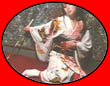 Lady Snowblood