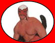 Lucha Libre - Mexican Wrestling Masken