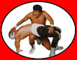 Lucha Libre - Mexican Wrestling Masken