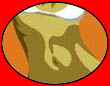 Marco Almera Plakate
