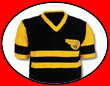 Kult Trikot Chicago Sting