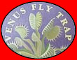 Venus Fly Trap