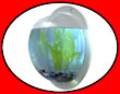 Wandaquarium