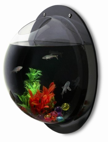 SYNTHETIKPARK WANDAQUARIUM SCHWARZ