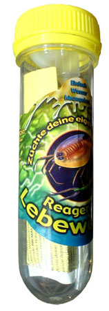Triops Urzeitkrebse im Reagenzglas