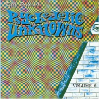 VARIOUS ARTISTS - Psychedelic Unknowns Vol. 6