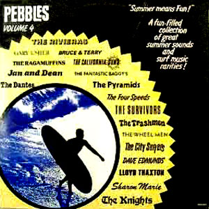 VARIOUS ARTISTS - Pebbles Vol. 4 - Summer Means Fun
