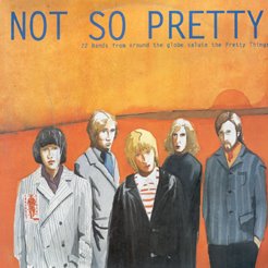 VARIOUS ARTISTS - Not So Pretty