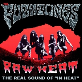 FUZZTONES - Raw Heat