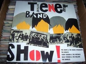 VARIOUS ARTISTS - Tiener Band Show!