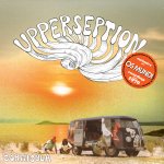 Upperseption  - Cornicula