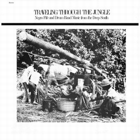 VARIOUS ARTISTS - Traveling Through The Jungle