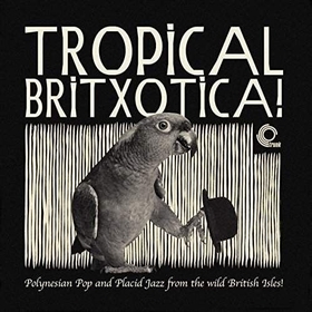 VARIOUS ARTISTS - Tropical Britxotica!