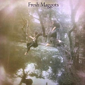 FRESH MAGGOTS - Fresh Maggots