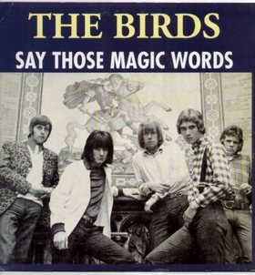 BIRDS - Say Those Magic Words