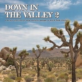 VARIOUS ARTISTS - Down In The Valley 2