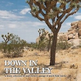 VARIOUS ARTISTS - Down In The Valley