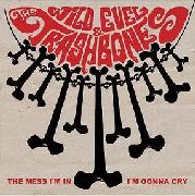 WILD EVEL AND THE TRASHBONES - The Mess I'm In