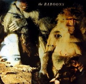BABOONS - Baboons