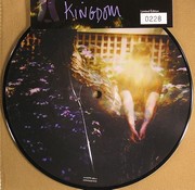 Gahan Dave - Kingdom (Picture Disc)