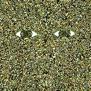 Flying Lotus - Pattern & Grid World 