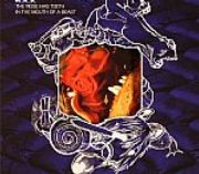 Matmos - The Rose Has Teeth In The Mouth Of A Beast