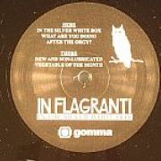 In Flagranti - In The Silver White Box