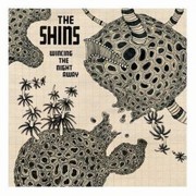 Shins - Wincing The Night Away