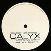 Calyx - Tearing Us Apart