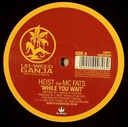 Heist - While You Wait (feat. MC Fats)