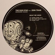 Dub Sync - What We Need (feat. Zion Train)