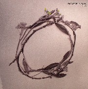 Passarani & Sacco - Flora (Villalobos & Melchior Fauna remix)