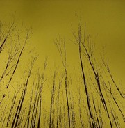 Everest Records presents - CCCC IV / Contemporary Culture Convention Compilation IV
