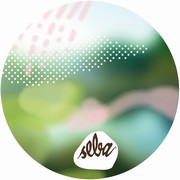 Seba - Dont Wanna Lose You / Morning Glory
