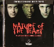 Drumsound & Simon Bassline Smith - Nature Of The Beast
