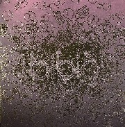 Bibio - The Apple & The Tooth
