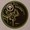Black Sun Empire