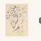 � + Noto