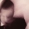 Mordant Music