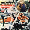 DAVIE ALLAN AND THE ARROWS