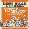 DAVIE ALLAN AND THE ARROWS