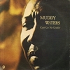 MUDDY WATERS