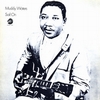 MUDDY WATERS