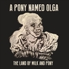 A PONY NAMED OLGA