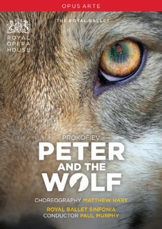SERGEI PROKOFIEV - PETER AND THE WOLF - Ross MacGibbon