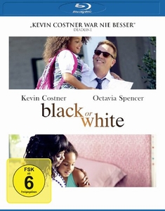 BLACK OR WHITE - Mike Binder