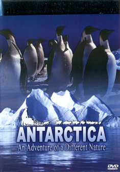 ANTARCTICA-IMAX FILM (DVD)