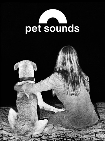 Pet Sounds Buch bestellen